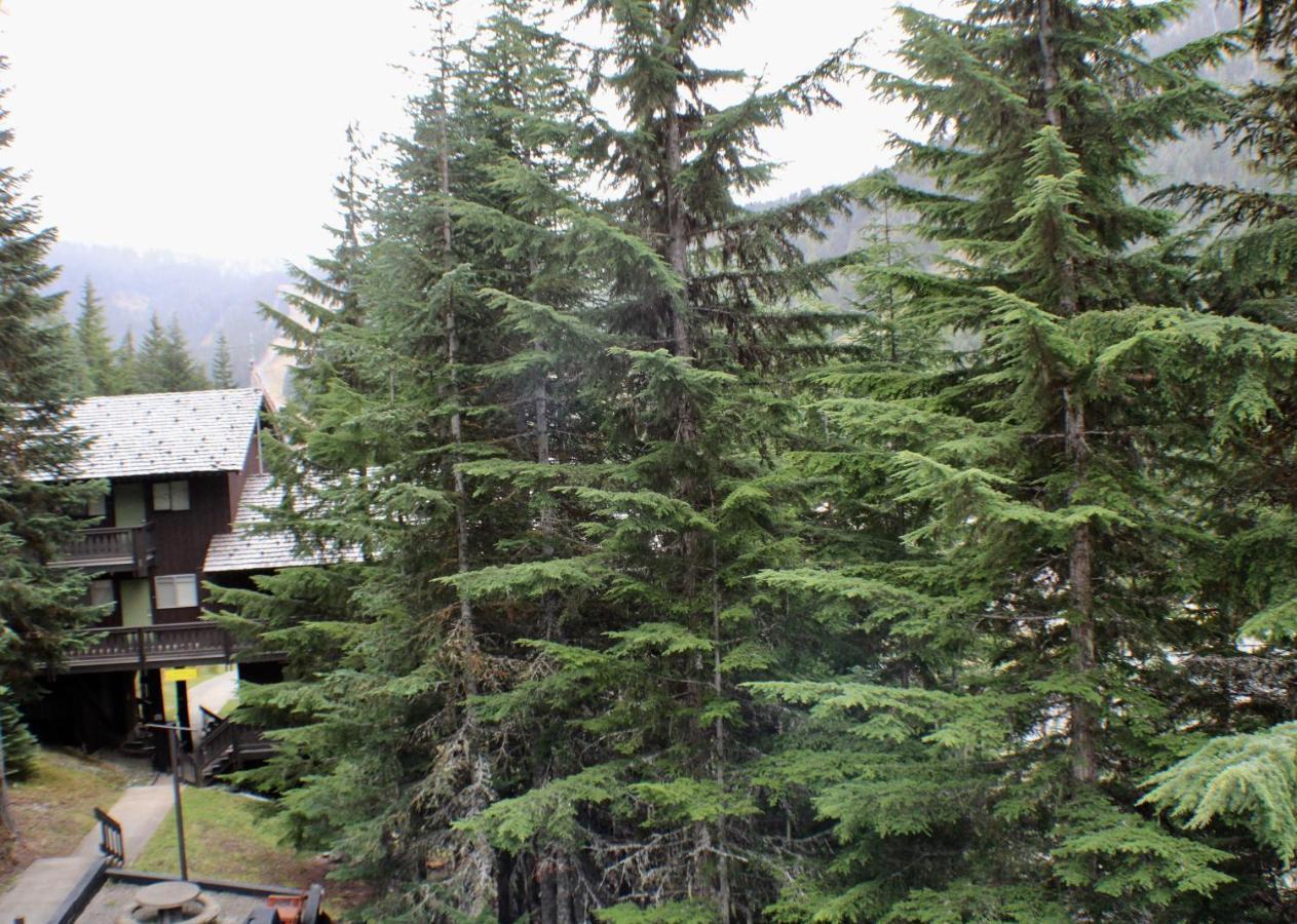 Crystal Chalets Greenwater Ngoại thất bức ảnh